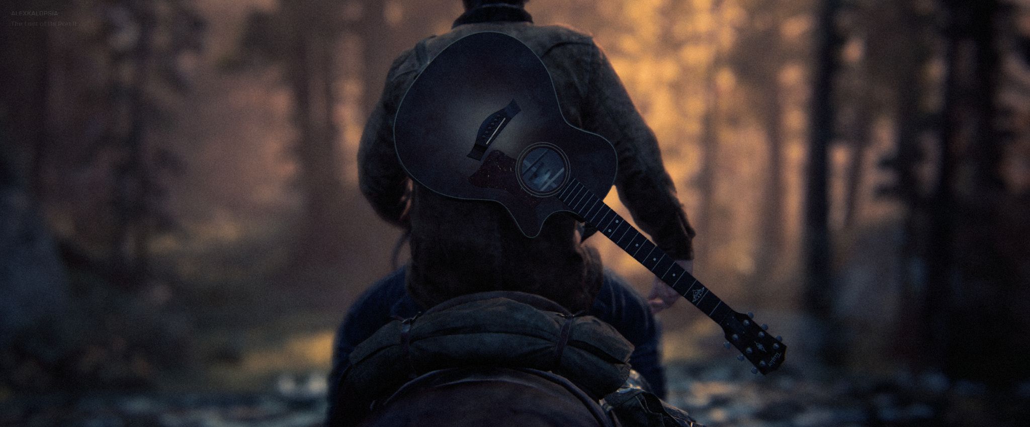 The Last of Us Part  II 12